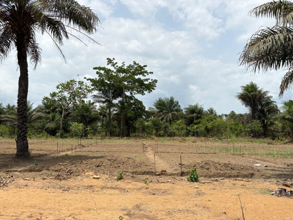 whatsapp image 2025 08 14 at 13.20.44 (6)