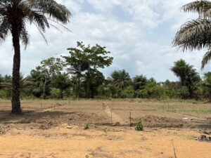 whatsapp image 2025 08 14 at 13.20.44 (6)