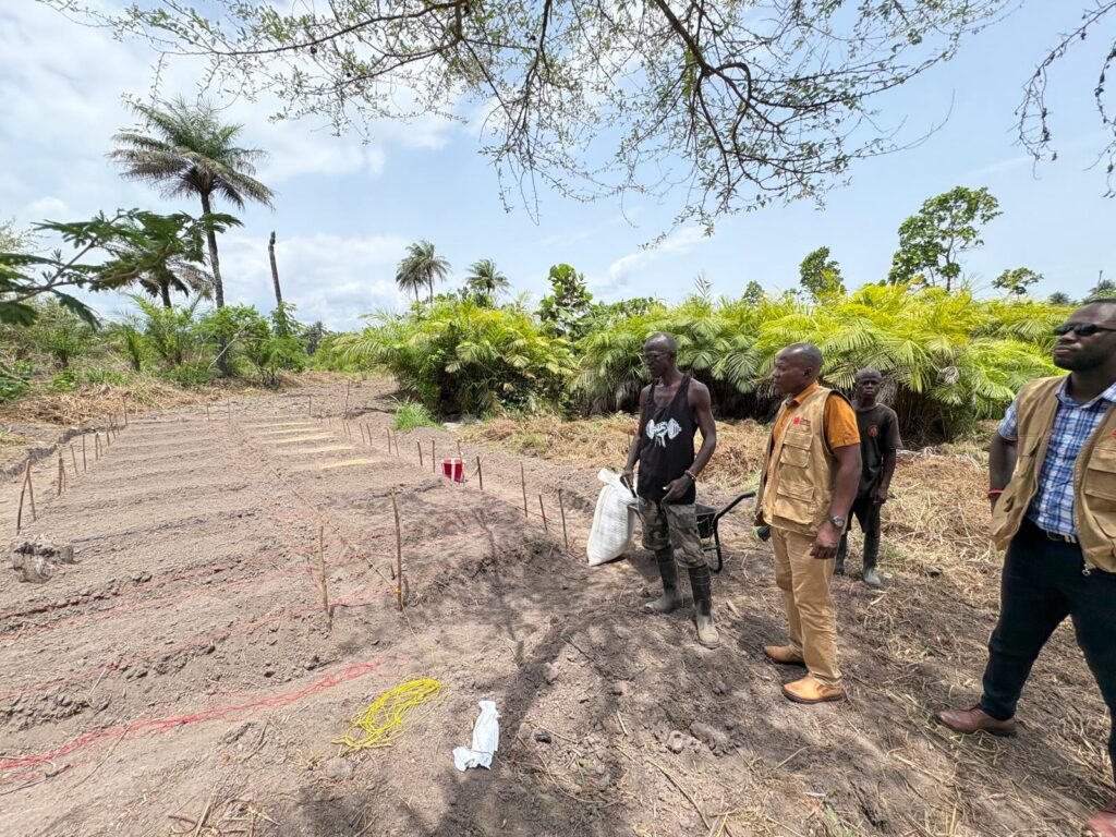 whatsapp image 2025 08 14 at 13.20.44 (7)